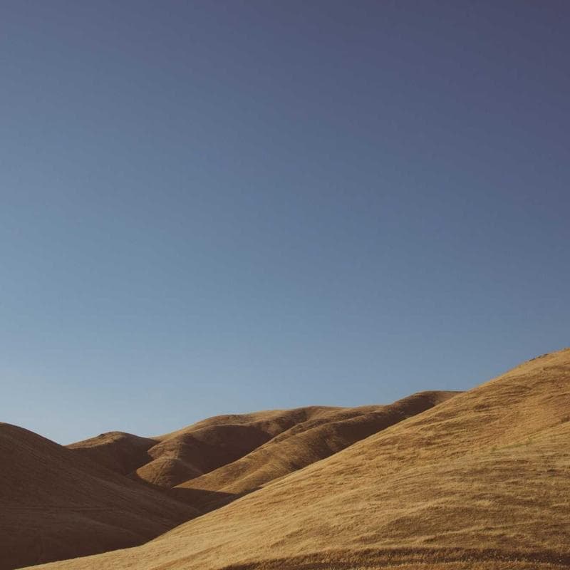 Macro lens on quantum fluctuations 🔬